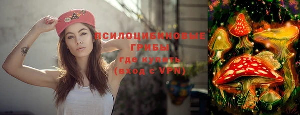 индика Верея