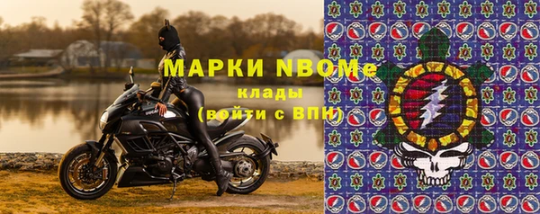 индика Верея