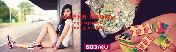 индика Верея