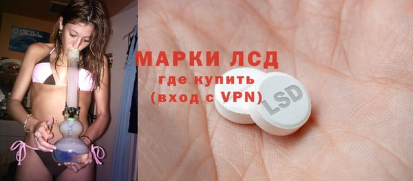 индика Верея