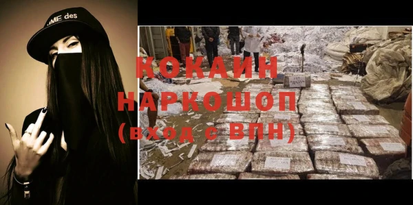 индика Верея