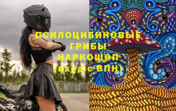 индика Верея