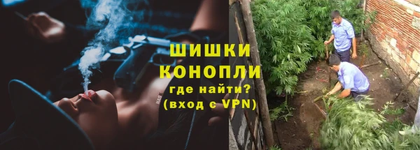 индика Верея