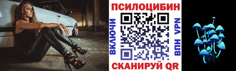 Купить закладки  Борзя  Галлюциногенные грибы Psilocybe 